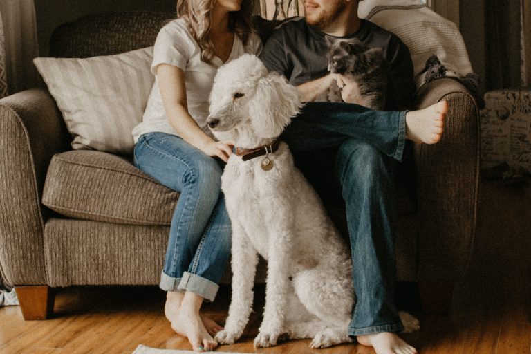Moving to Brampton with kids