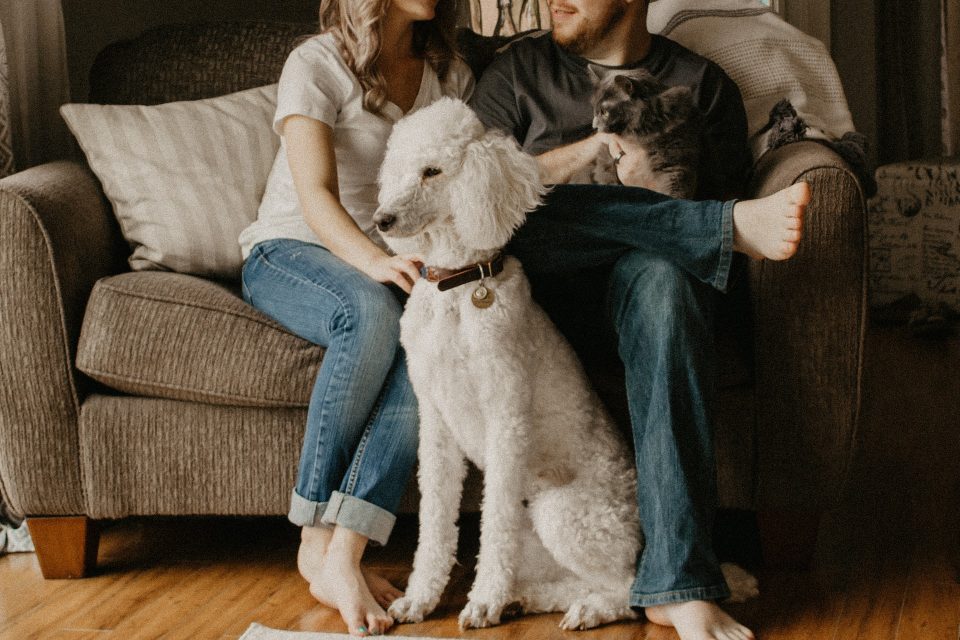 Moving to Brampton with kids