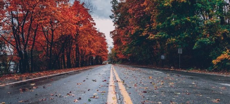 A dump road surrounded with fall foliage 