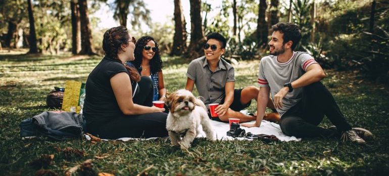 A group of friends having a picnic.