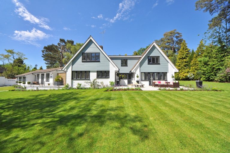 house with huge yard