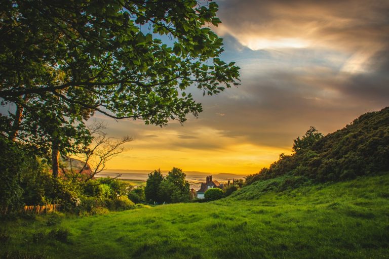 york landscape
