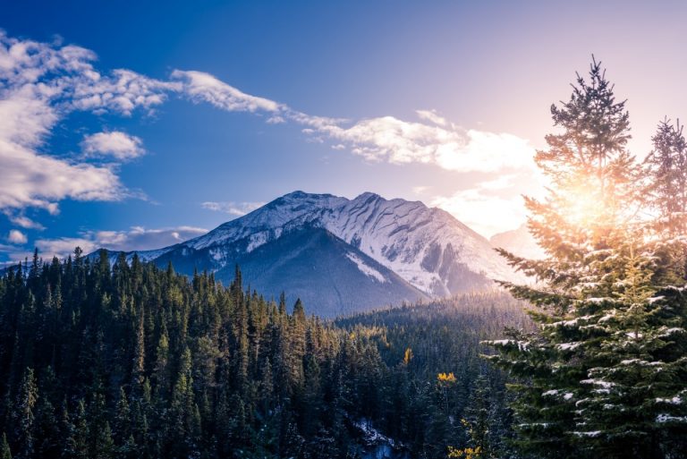 a mountain in the background