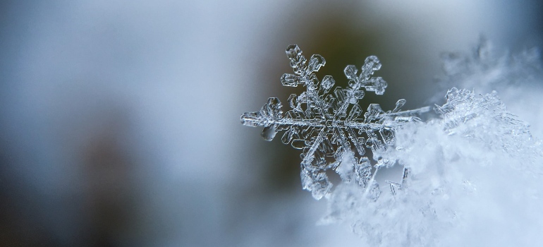 A snowflake 