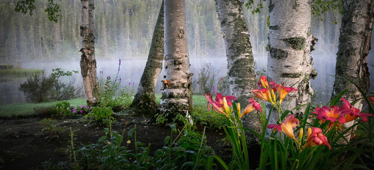 Nature in Kingston 