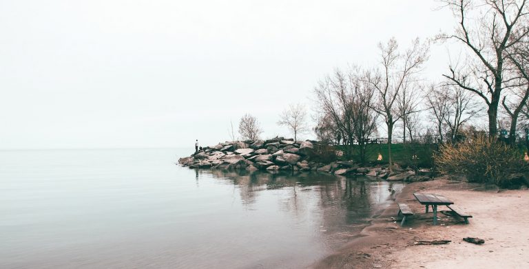 View of lake shore with trees