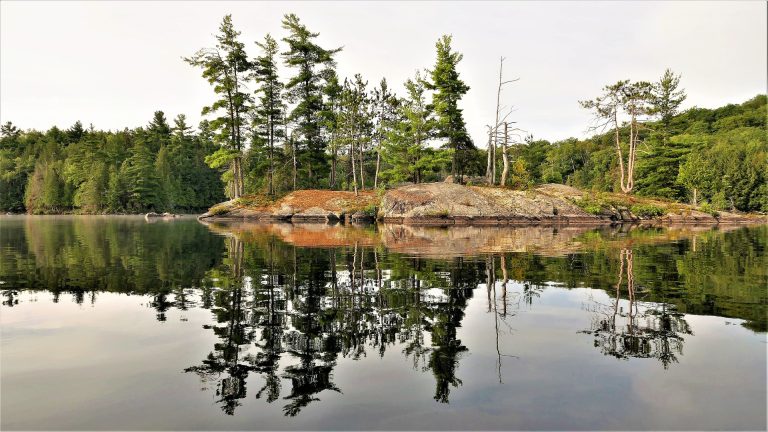 A landscape in Odessa, Canada as one of the reasons families move to Odessa