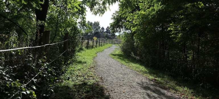 A trail in the park