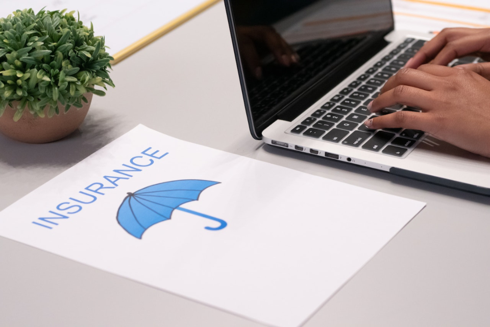 A person who researches the details of moving insurance