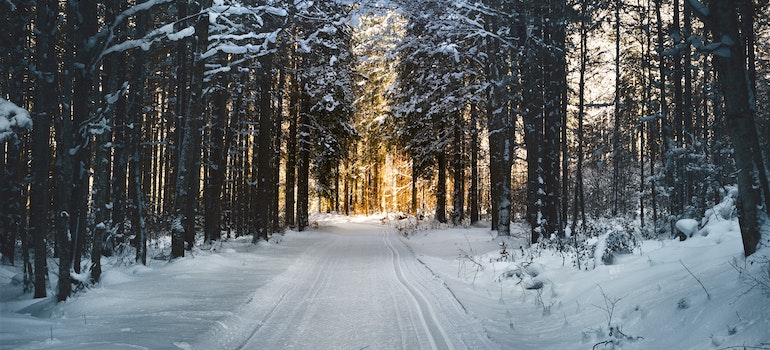 Road covered in snow