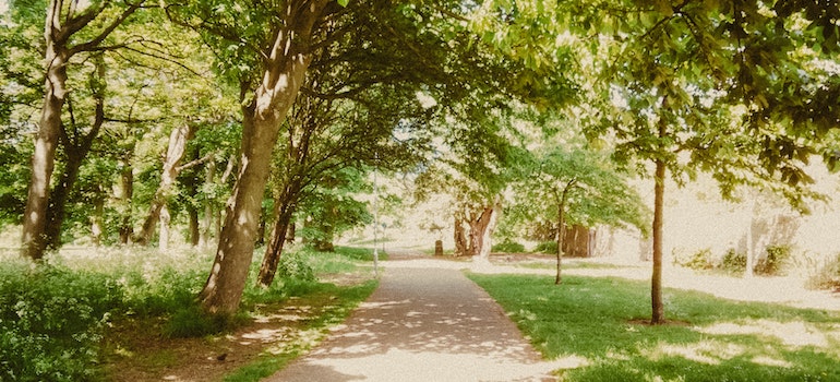 A park in Canada