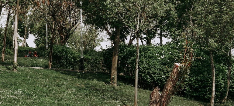 A park in Richmond Hill