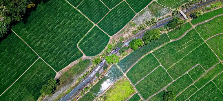 green fields, one of the many things you should know about York