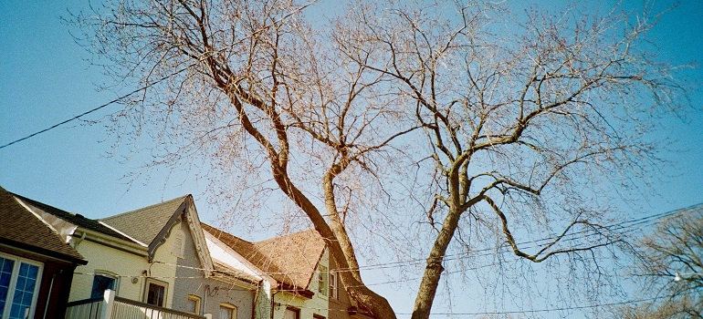 a house in suburbs