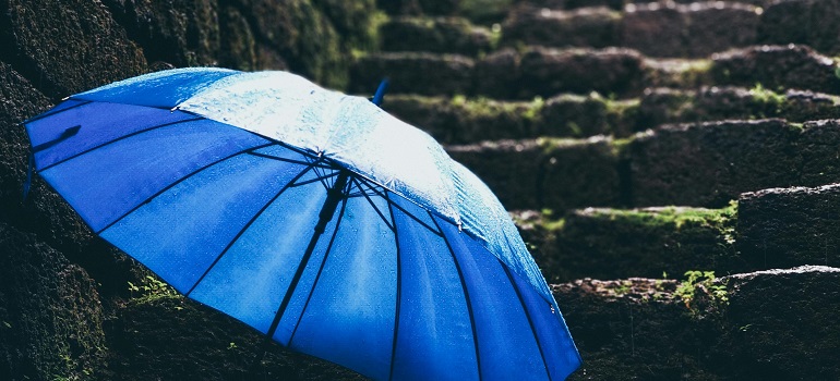 an umbrella 