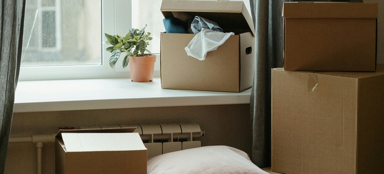 moving boxes
