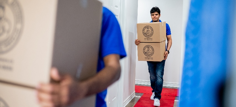 movers carrying boxes