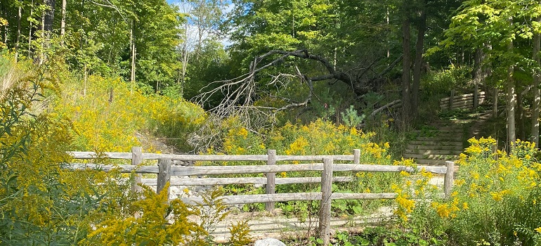 a recreational area you can enjoy after learning all the Vaughan relocation 101 tips 