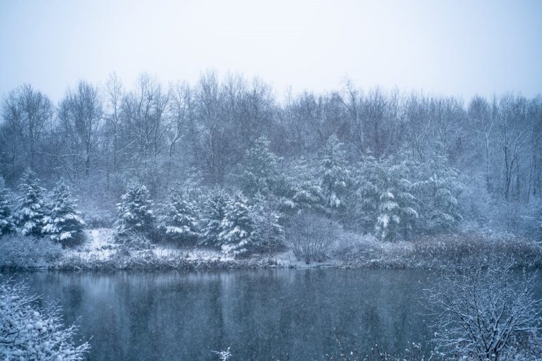 a winter landscape in Vaughan