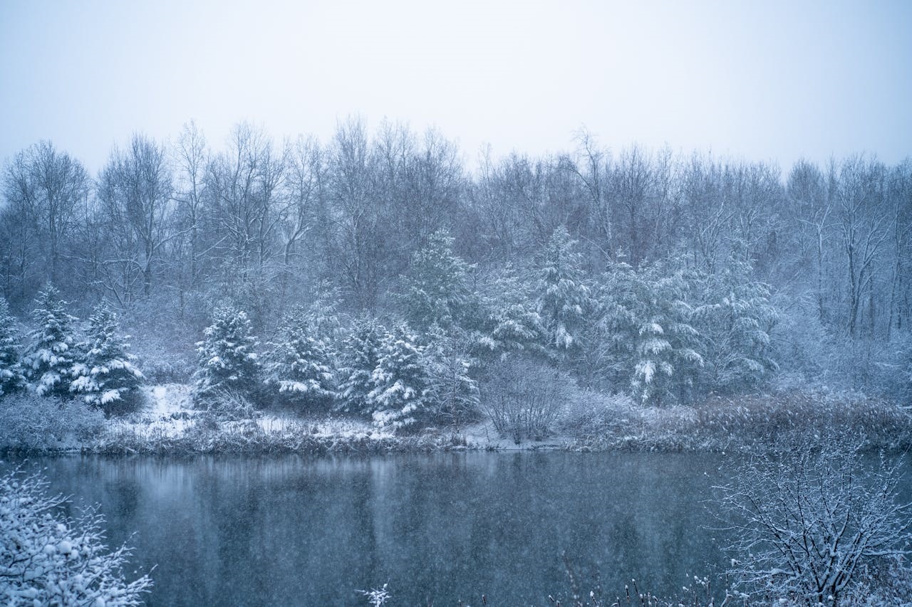 a winter landscape in Vaughan