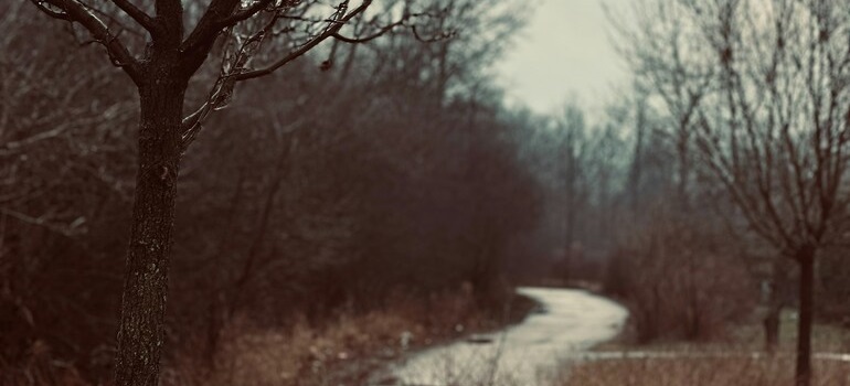 a road you need to follow on your timeline for moving to Brampton