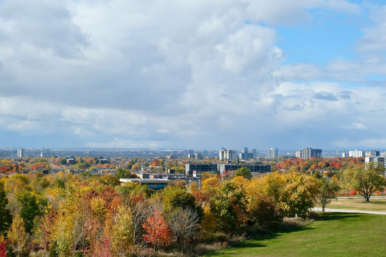 a park in North York