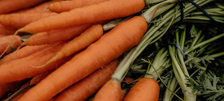 Close-up of fresh carrots with tops.