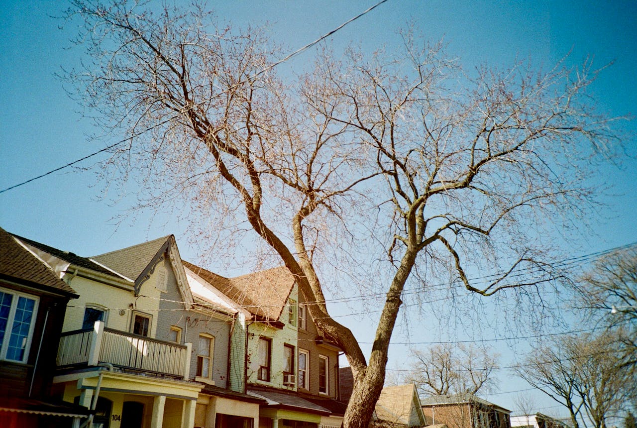 a residential area in Toronto