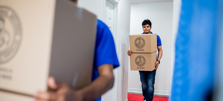 Two men carrying moving boxes in a hallway while preparing for a senior move from Etobicoke to Ottawa.