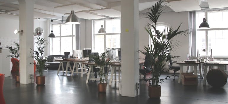 Bright and airy office space with plants.