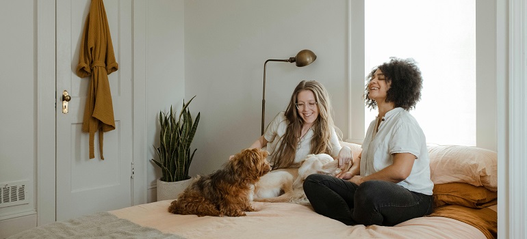 two friends playing with a dog