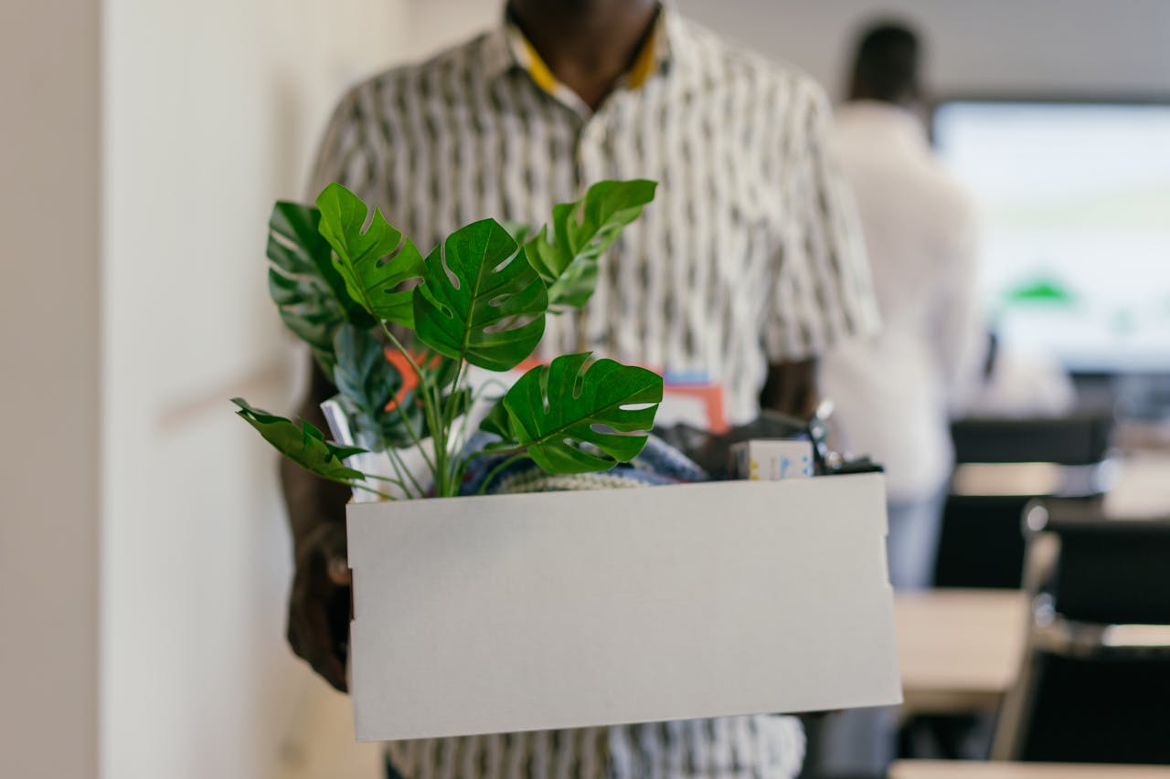 Person carrying plants in a box for corporate relocation in Mississauga.