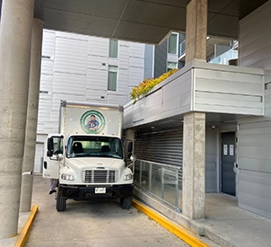 Logistical Expertise